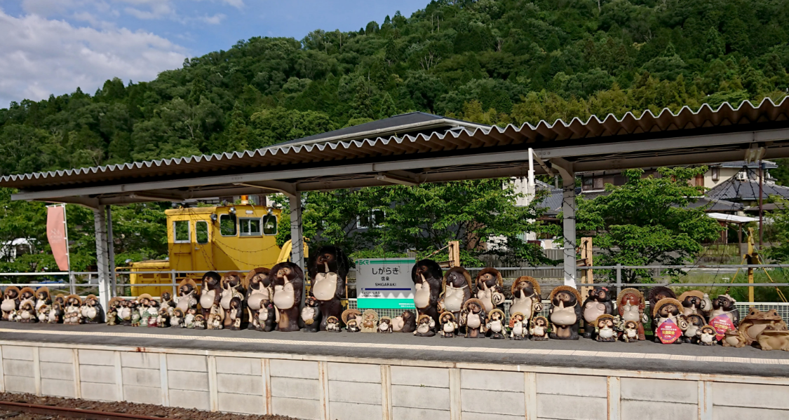 甲賀・信楽エリア