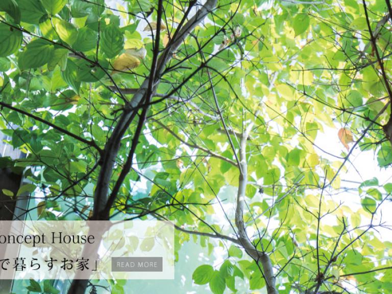 ” iKKA concept House